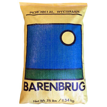 Barenbrug