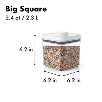 OXO Pop Container 1 pk Good Grips 2.4 qt. Clear