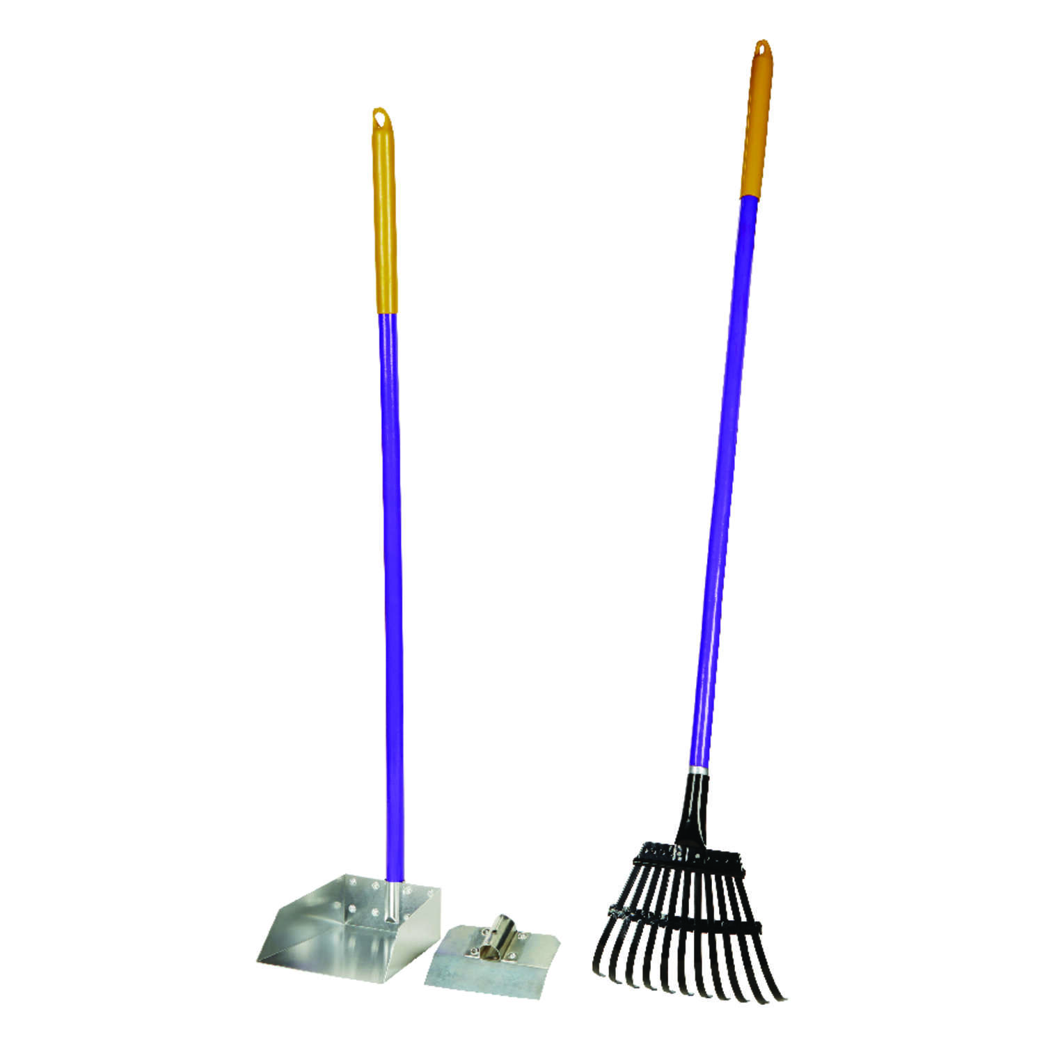 image-1