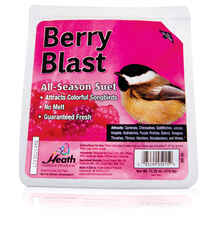 Heath Berry Blast Songbird Suet Beef Suet 11.25 oz.