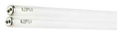 Ace  40 watt T12  1.4 in. Dia. x 48 in. L Fluorescent Bulb  Cool White  Linear  4100 K 2 pk 