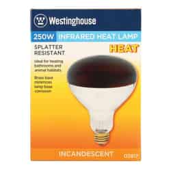 Westinghouse Satco 250 watts R40 Incandescent Bulb Red Reflector 1 pk