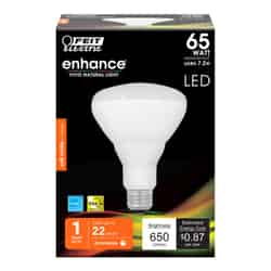 Feit Electric BR30 E26 (Medium) LED Bulb Soft White 65 Watt Equivalence 1 pk