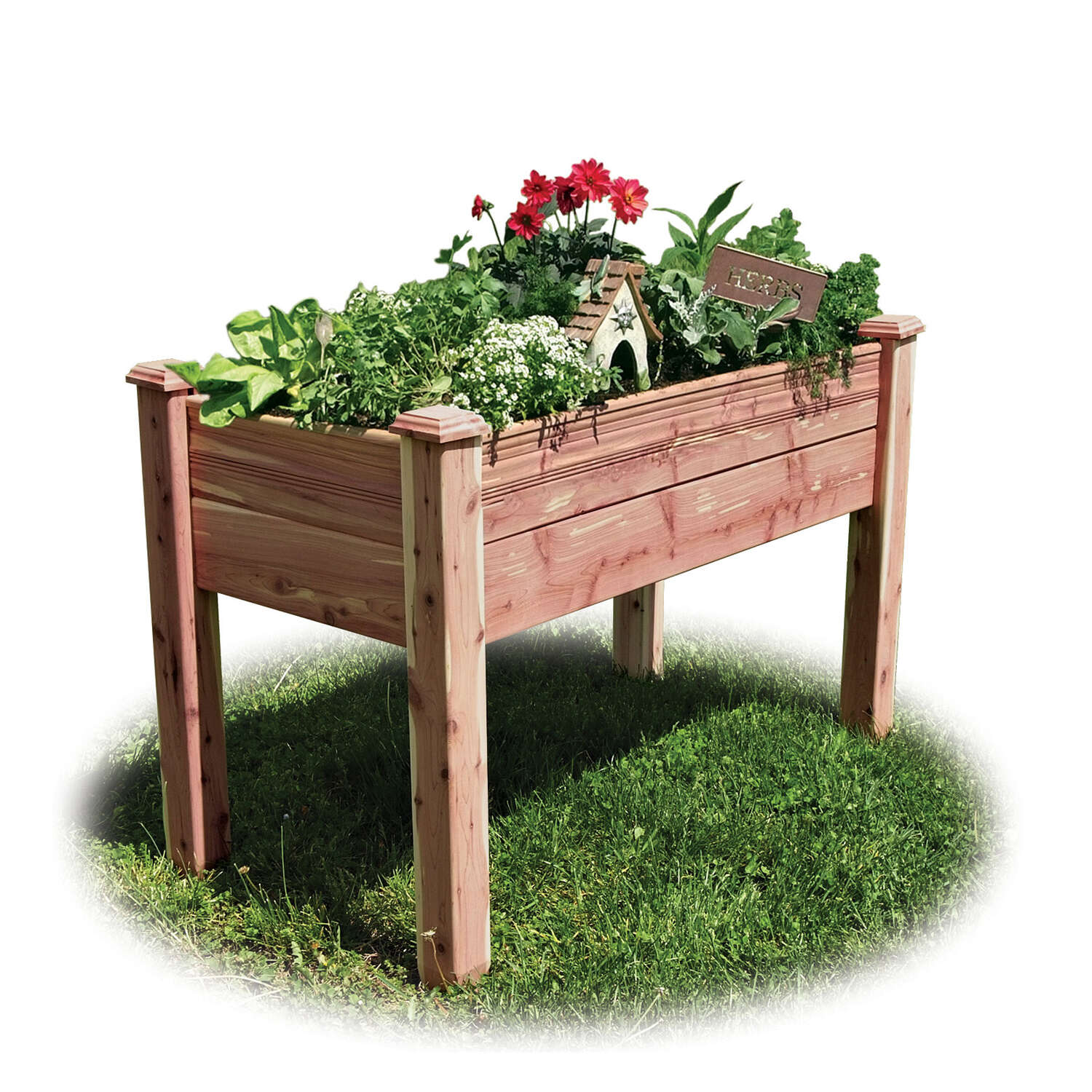 image-3