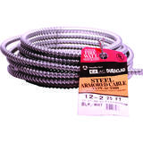 Southwire 25 ft. 12/2 Stranded Steel Armored AC Cable