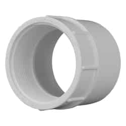 Charlotte Pipe Schedule 40 3/4 in. Slip T X 3/4 in. D FPT PVC Pipe Adapter