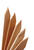 Universal Forest 36 in. H x 2 in. W Grade Stake 5 pk Wood