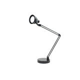 Newhouse 13 in. Semi-Gloss Black Desk Lamp