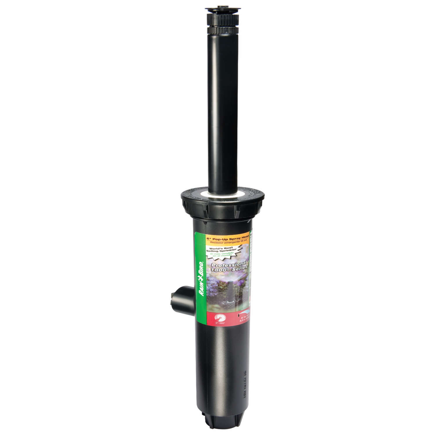 image-1
