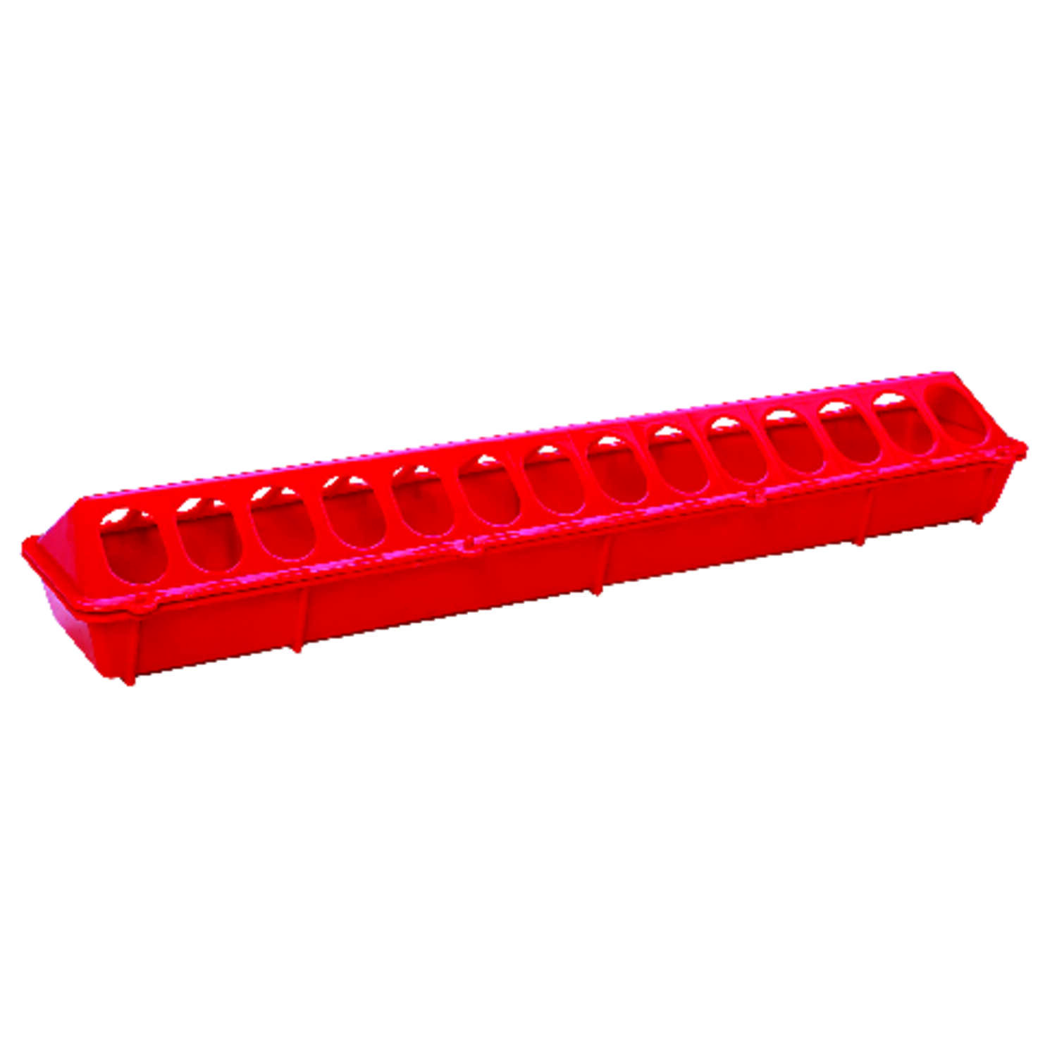 image-1