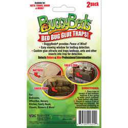 Buggy Beds