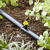 Raindrip Drip Irrigation Flag Dripper