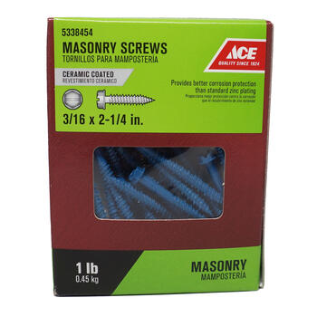 Ace 3/16 in. x 2-1/4 in. L Slotted Hex Washer Head Ceramic Steel Masonry Screws 1 lb. 80 pk