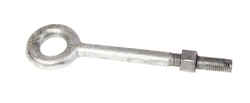 Baron 3/8 in. x 2-1/2 in. L Hot Dipped Galvanized Steel Eyebolt Nut Included