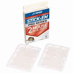 Mice