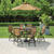 Living Accents Carlisle 7 pc Brown Aluminum Dining Set