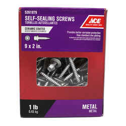 Ace 9 Sizes x 2 in. L Hex Hex Washer Ceramic Self-Sealing Screws 1 lb. Steel
