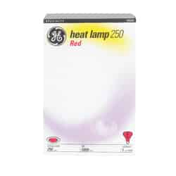 GE Lighting 250 watts R40 Incandescent Bulb Red Decorative 1 pk 2200 lumens