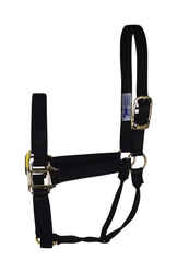 Hamilton Nylon Halter Large