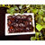 Mosser Lee Tuscan Brown Decorative Stone Pan Gem Brown