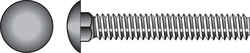 HILLMAN 1/4 Dia. x 3/4 in. L Stainless Steel Carriage Bolt 50 pk