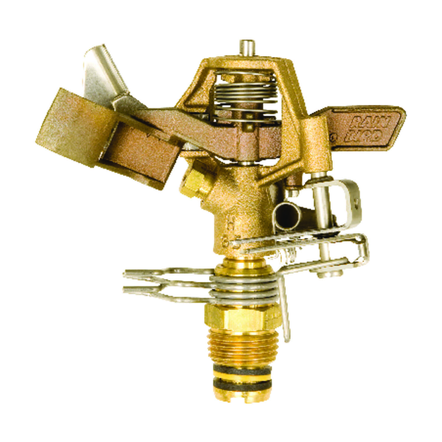 image-1