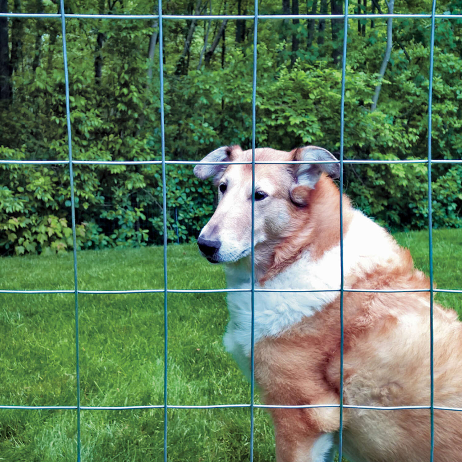 image-5