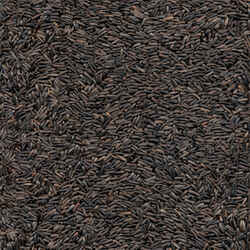Kaytee Songbird Wild Bird Food Nyjer Seed 20 lb.