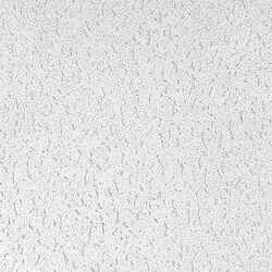 USG 2 ft. W x 4 ft. L Mineral Fiber Square Edge Fifth Avenue Ceiling Tile