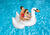 Swimline White Vinyl Inflatable Swan Pool Float White