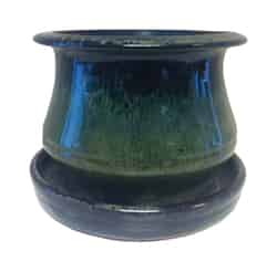 Trendspot 6 in. H x 6 in. W Green Ceramic Ceramic Pot