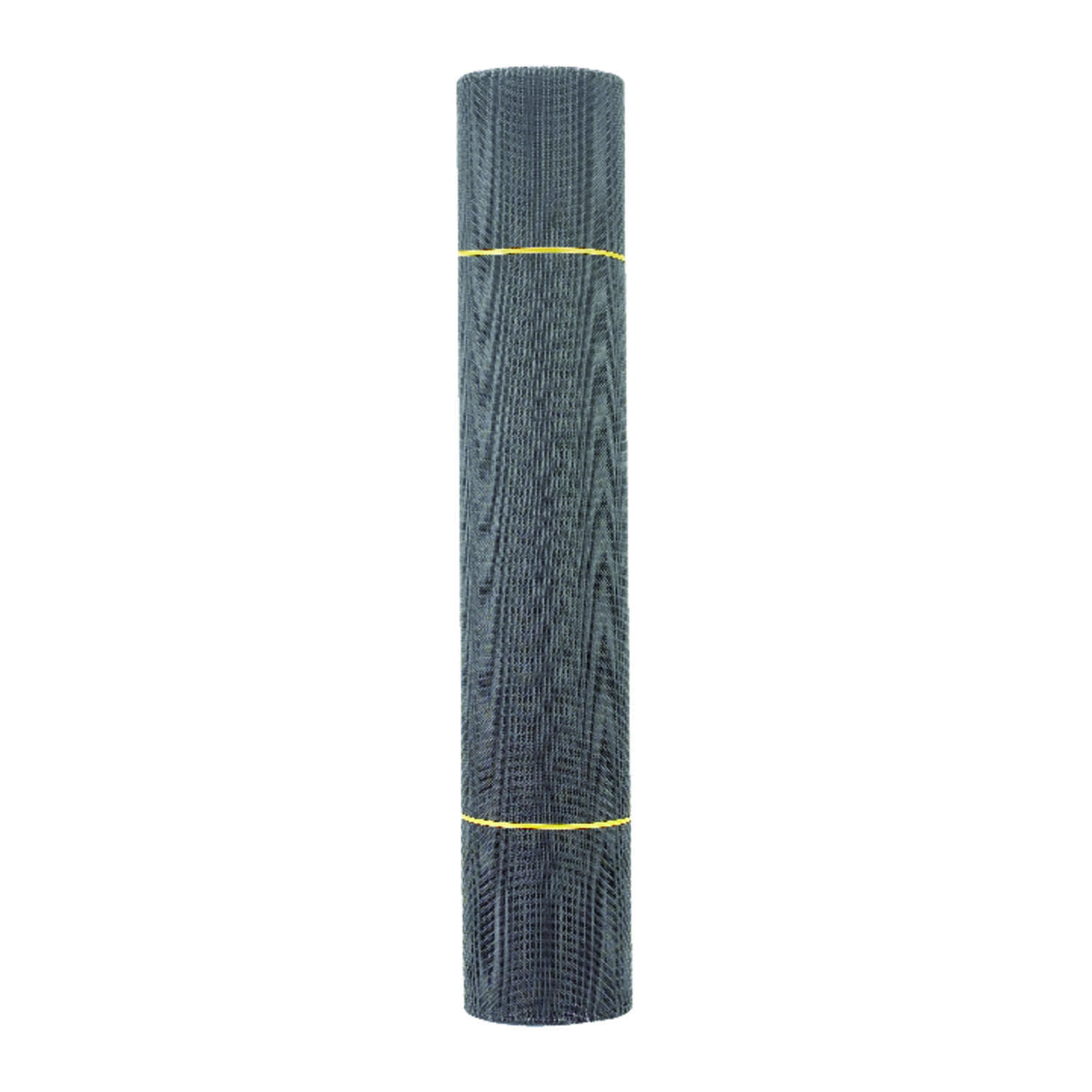image-1