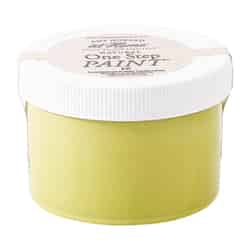 Amy Howard at Home Lime Latex One Step Furniture Paint 8 oz