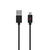 FoneGEAR Fuse Black Lightning USB Charge and Sync Cable For Apple 10 ft. L