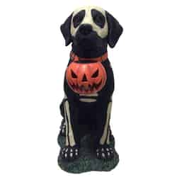 DHI Painted Skeleton Dog with Pumpkin 10.8 in. W Halloween Decoration
