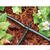 Rain Bird Drip Irrigation Barbed Cross 10 pk Plastic