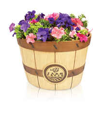 Southern Patio 10.39 in. H x 16 in. W x 16 in. L Brown Resin Bushel Planter