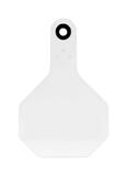 Y-Tex Medium Blank Plastic 2-Piece Ear Tag