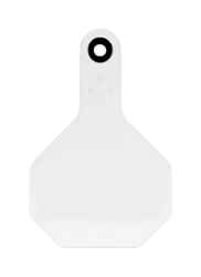 Y-Tex Medium Blank Plastic 2-Piece Ear Tag
