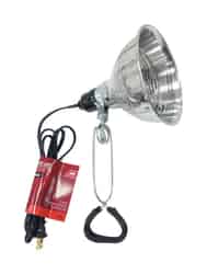 Ace 5.5 in. 60 watts Clamp Light