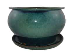 Trendspot 8 in. H x 8 in. W Green Ceramic Ceramic Pot