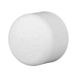 Charlotte Pipe Schedule 40 1 in. Slip T PVC Cap