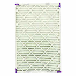 Ace 20 in. W X 30 in. H X 1 in. D Pleated Pleated Air Filter