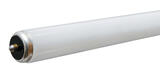 GE Lighting 75 watts T12 96 in. Daylight Fluorescent Bulb 4300 lumens Linear 15 pk