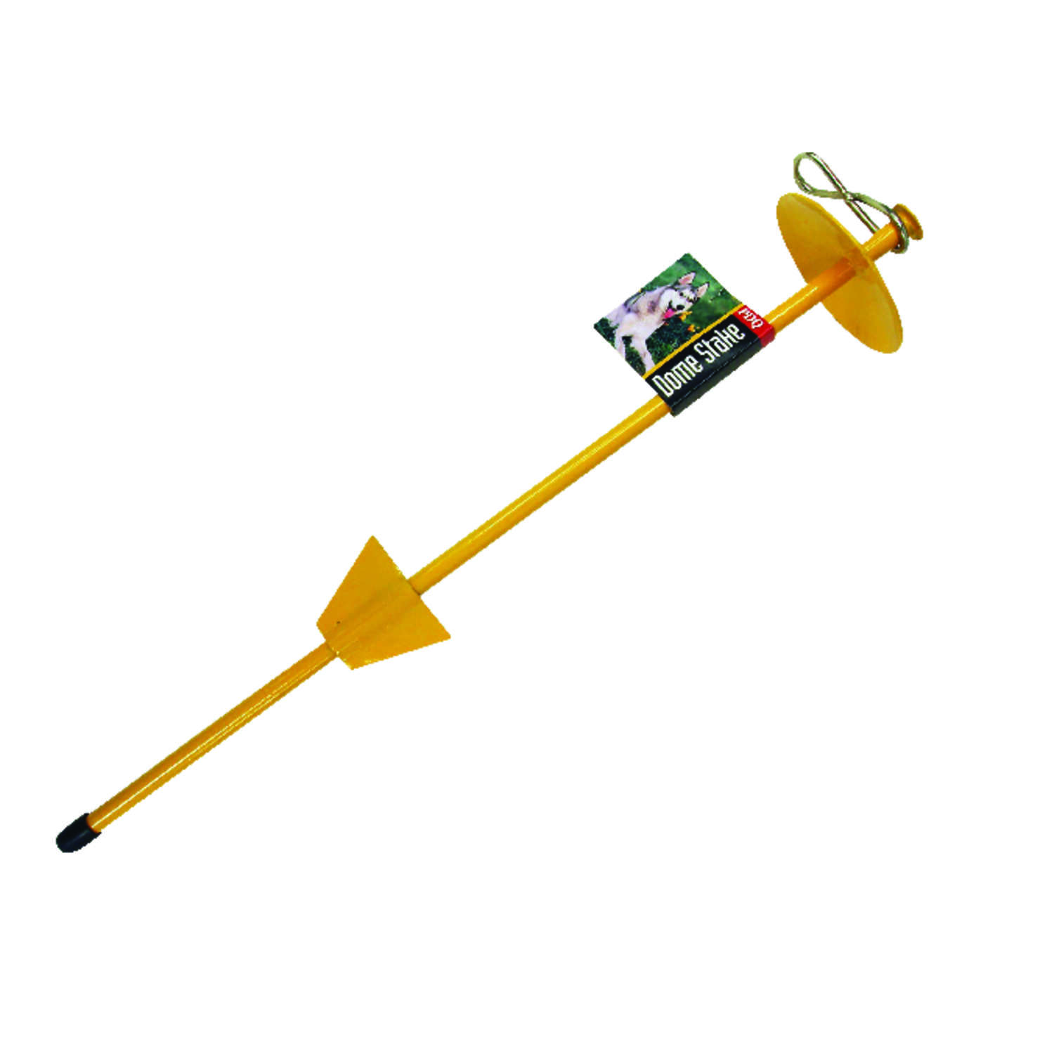 image-1