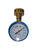 Brady 3/4 in. 0 psi 100 psi Pressure Gauge