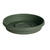 Bloem Terratray 1.7 in. H Thyme Green Resin Traditional Tray