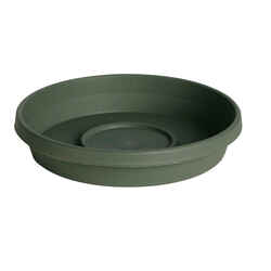 Bloem Terratray 2 in. H x 12 in. Dia. Thyme Green Resin Traditional Tray