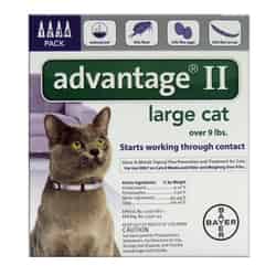Bayer Advantage II Liquid Cat Imidacloprid/Pyriproxyfen Flea Drops 0.108 oz.