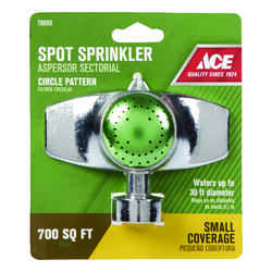 Ace